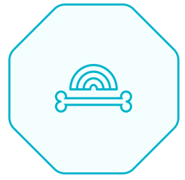 icon1-1-1